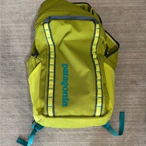 Patagonia Bright Green Men's Backpack
